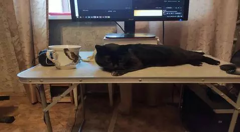 Hunyuan Video I2V video