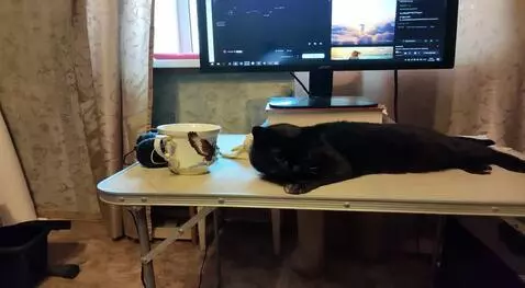 AI Video from prompt: The cat takes out a red flag and starts waving i