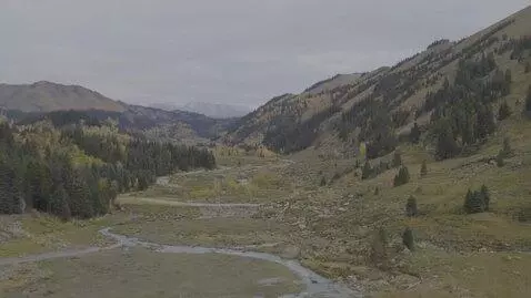 AI Video from prompt: Belly realistic expansion