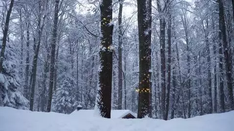 AI Video from prompt: Зимний вечер в лесу с падающим снегом, уютный до