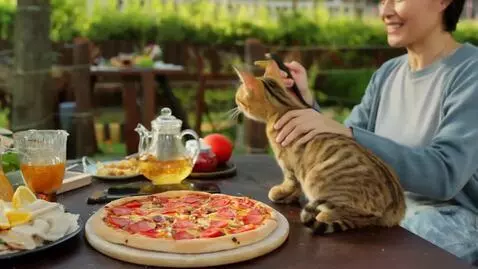 AI Video from prompt: یک گربه درحال پختن پیتزا