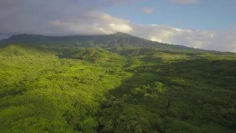 AI Video from prompt: Создай короткое видео о биоразлагаемом пластике: