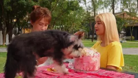 AI Video from prompt: реалистичное видео, свинья взлетает на салюте на