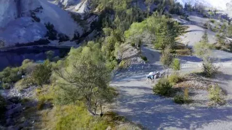 AI Video from prompt: just video of beatiful nature