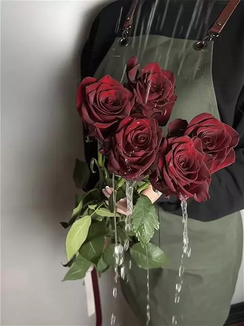 Wan 2.5 Preview video