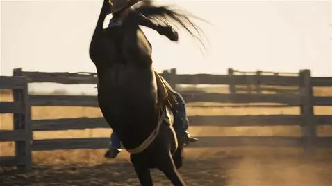 AI Video from prompt: A vivid action-packed scene, a young black colt 