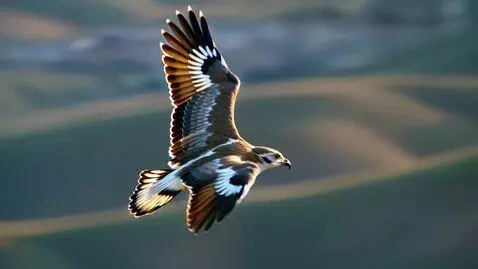 AI Video from prompt: The video begins with an extreme close-up on the