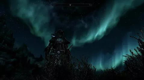 AI Video from prompt: Argonian dude stands and looks ups at the northe