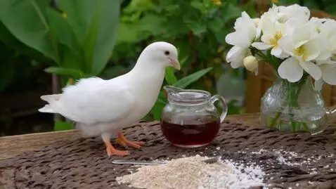 AI Video from prompt: С камеры видео наблюдения на пороге у дома, стои