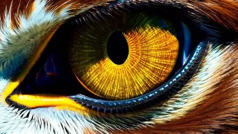 AI Video from prompt: "The video opens with an extreme close-up on a h