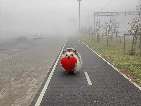 AI Video from prompt: The image shows: fog, a sidewalk combined with a