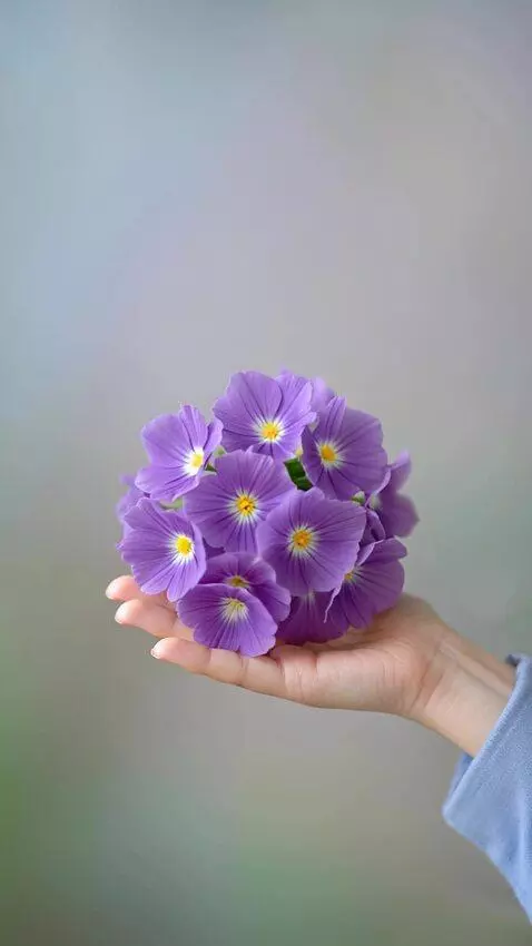 Kling 2.1 (pro) video