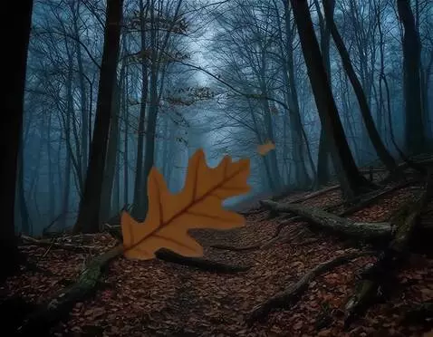 AI Video from prompt: тёмная ночь, камера летит прямо , изредка мимо о