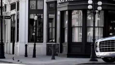 AI Video from prompt: FADE IN: A beautiful, slow-motion, black-and-whi