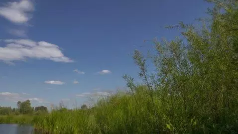 AI Video from prompt: **Кинематографический концепт (поэтический реали