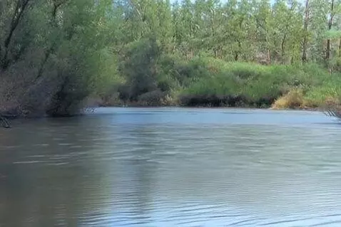 AI Video from prompt: **Кинематографический концепт (поэтический реали