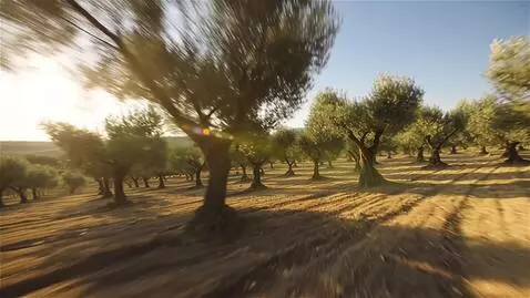 AI Video from prompt: make a narrative video with voice. the camera is