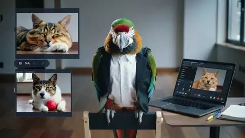 AI Video from prompt: Создай забавное видео про попугая, который ведет