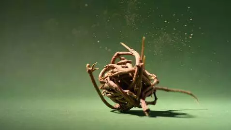 AI Video from prompt: green screen with rolling tumble weed and dust a