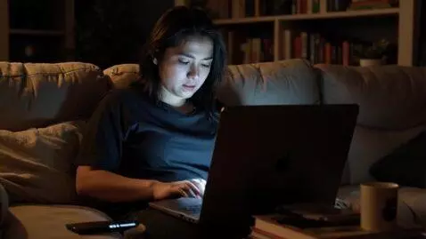 AI Video from prompt: Сцена: Персонаж сидит на диване с ноутбуком, выг