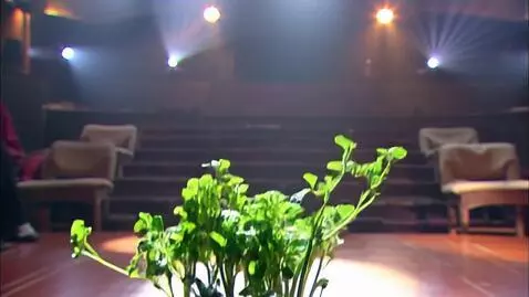 Kling 1.6 (pro) video