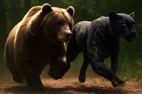 AI Video from prompt: The bear moves with powerful, steady strides, wh