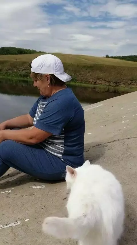 AI Video from prompt: Кушает голая кошку