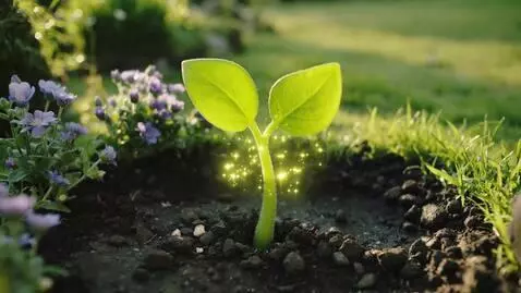 AI Video from prompt: a sprout dublicated blue hat and gives both of t