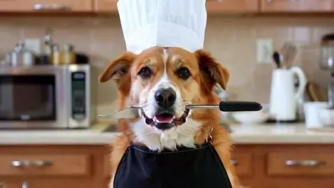 AI Video from prompt: собака готовит еду