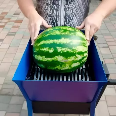 AI Video from prompt: A large, ripe green watermelon is placed into a 