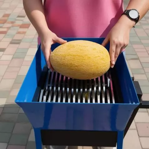 AI Video from prompt: A ripe yellow melon is placed in a blue industri