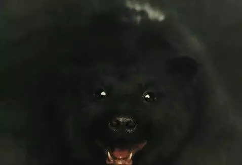 MiniMax Hailuo-02 (pro) video