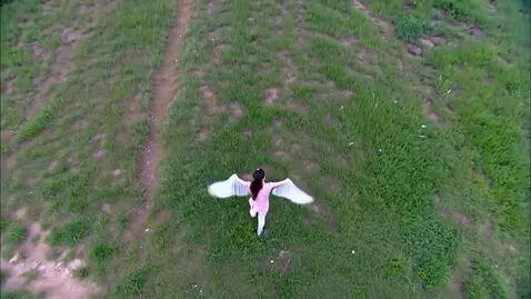 AI Video from prompt: Небом без крыльев прогулки нелепы, Крылья /немно