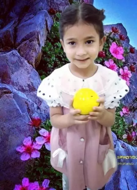 AI Video from prompt: orqa fonga parij tasvirda jonlantir