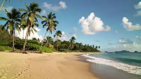 AI Video from prompt: создать красивый пляж с пальмами и золотистым пе