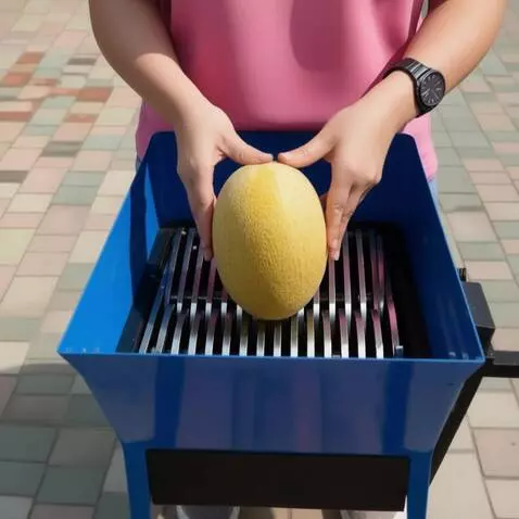 AI Video from prompt: Ripe melon is placed in the hopper of a large-ca