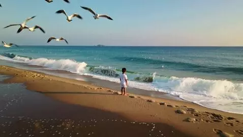 AI Video from prompt: A very long shot of a three-year-old boy wearing