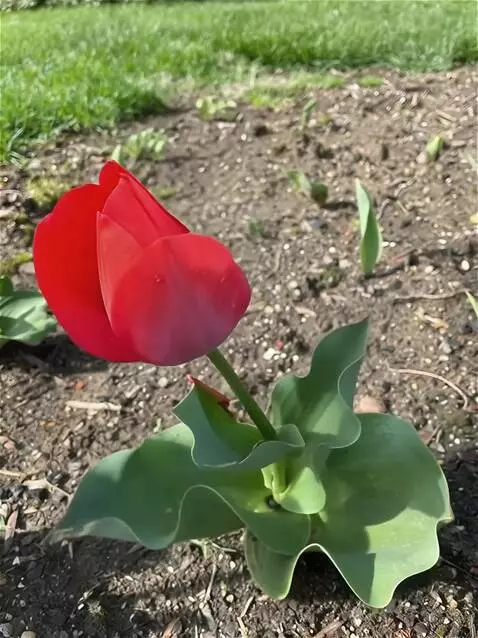 Wan 2.5 Preview video