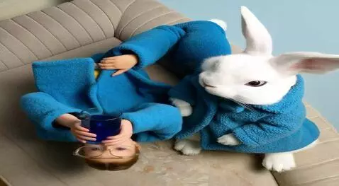 Hunyuan Video I2V video