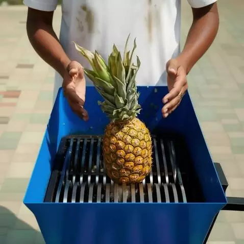 AI Video from prompt: A man in a white T-shirt holds a large ripe pine