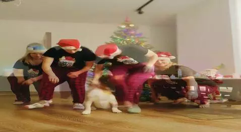 AI Video from prompt: Create a 30-second video in the style of the Har