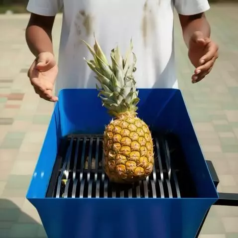 AI Video from prompt: A man in a white T-shirt holds a large ripe pine