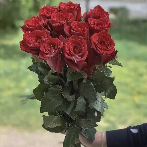 Wan 2.5 Preview video