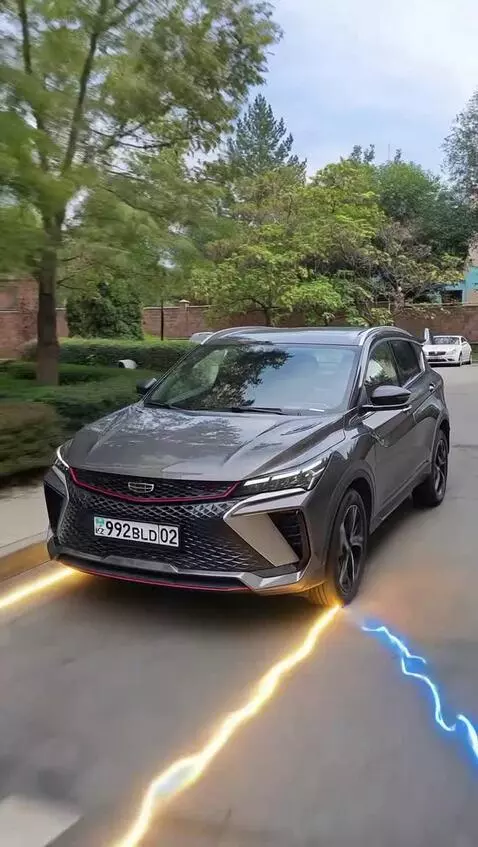 Seedance 1.0 Lite video