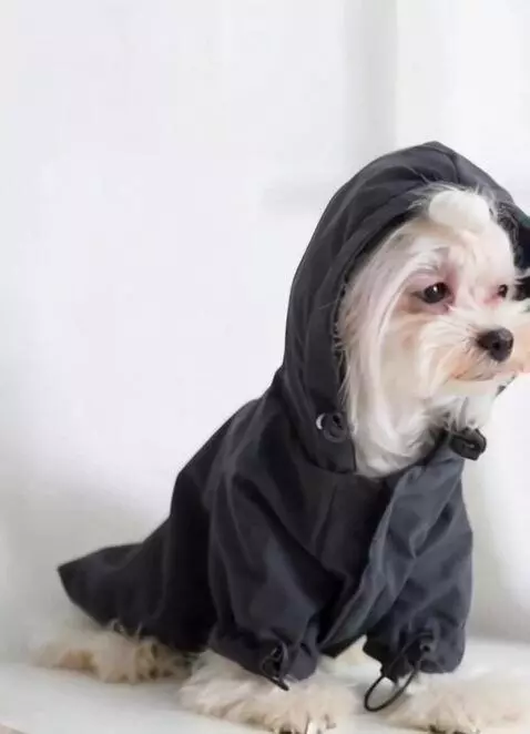 AI Video from prompt: The lights are off. They shine on the jumpsuit a