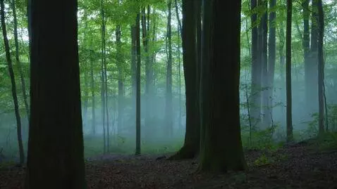 AI Video from prompt: Логлайн  Ночной тизер о Карилке — монтёре, ставш