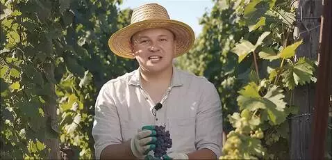 AI Video from prompt: говорит ( а также периодичность обработки и глав