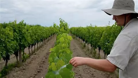 Wan 2.5 Preview video