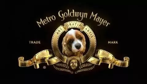 AI Video from prompt: The dog roars and barks