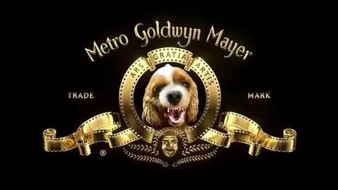 AI Video from prompt: The dog roars and barks